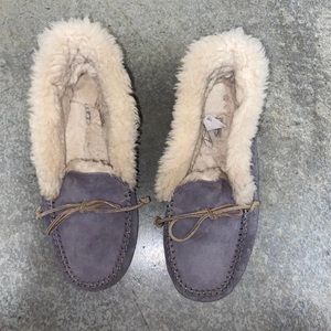 UGG slippers